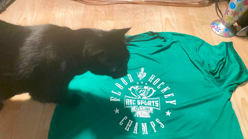 Played for the t-shirt - inspected by Sukiyama-san Played for the t-shirt - inspected by Sukiyama-san