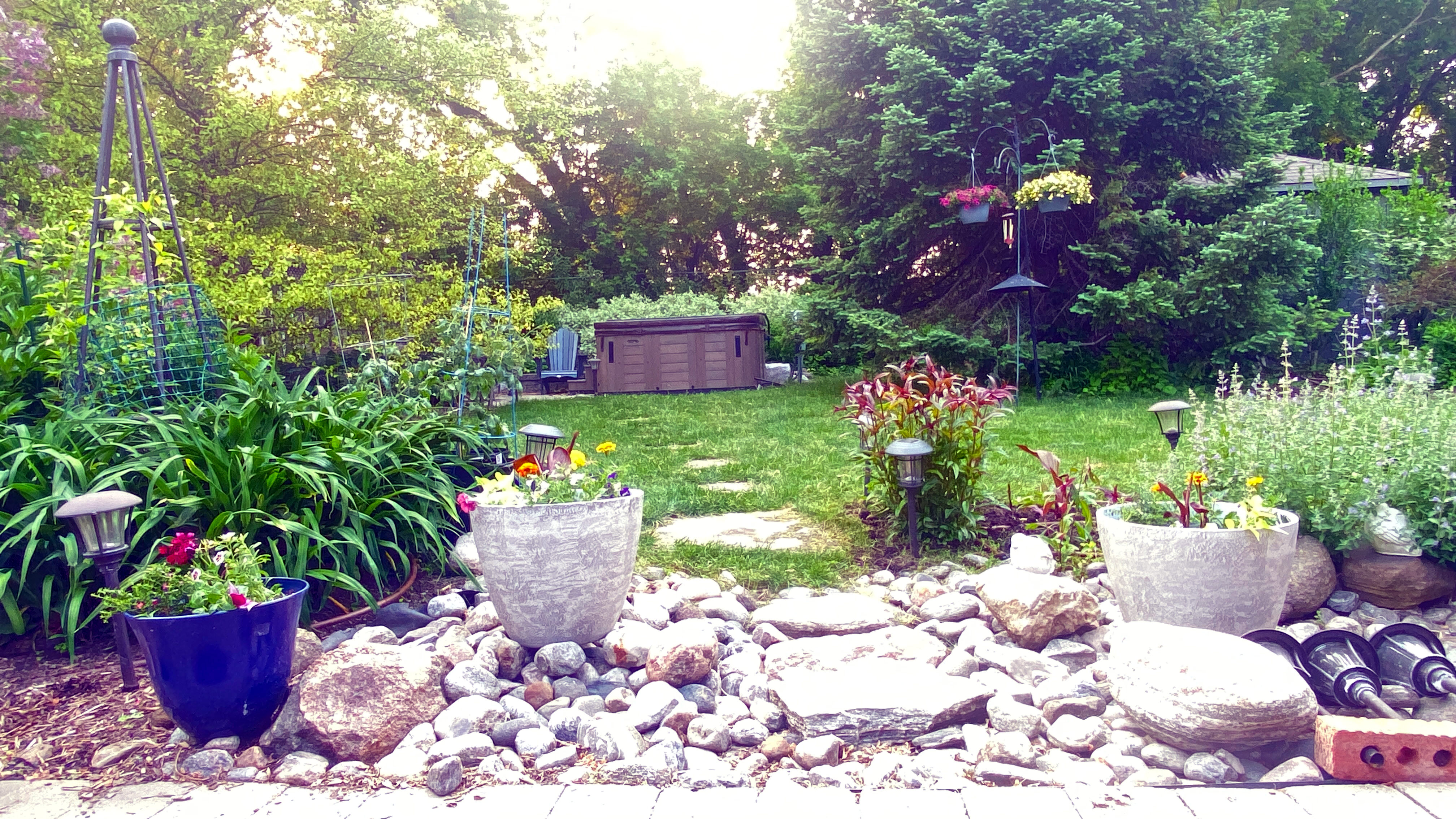 The backyard The backyard