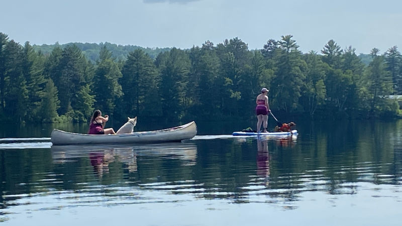 Paddling with dogs