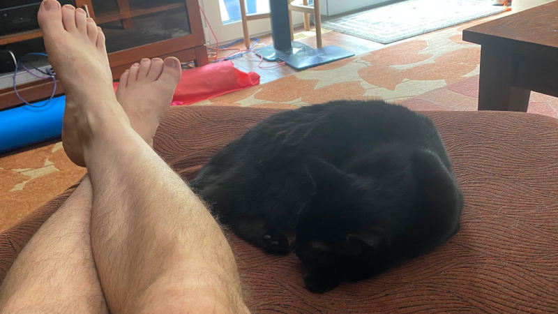 Are you happy we are home? Are you happy we are home?