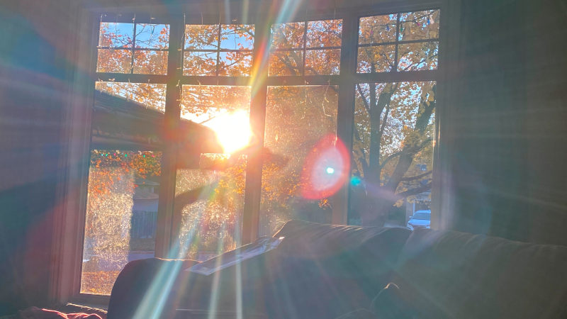 The morning Sun The morning Sun