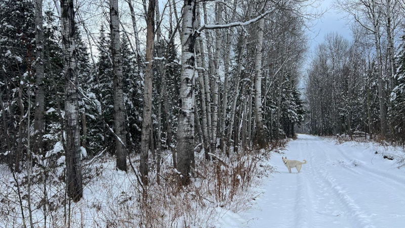 Yes, the snow looks good there but it was all melting and/or gone within 3 hours