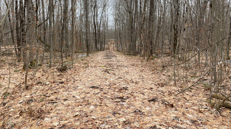 Six Mile Walk Six Mile Walk