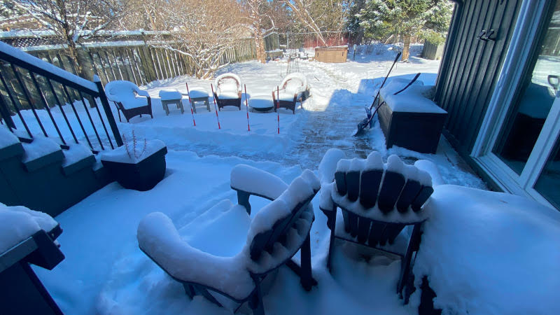 More snow! *Lion roar!* More snow! *Lion roar!*