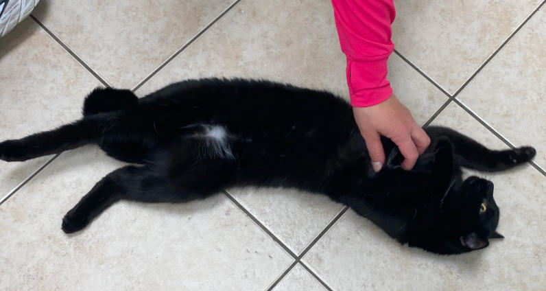 relaxed and rolling around relaxed and rolling around
