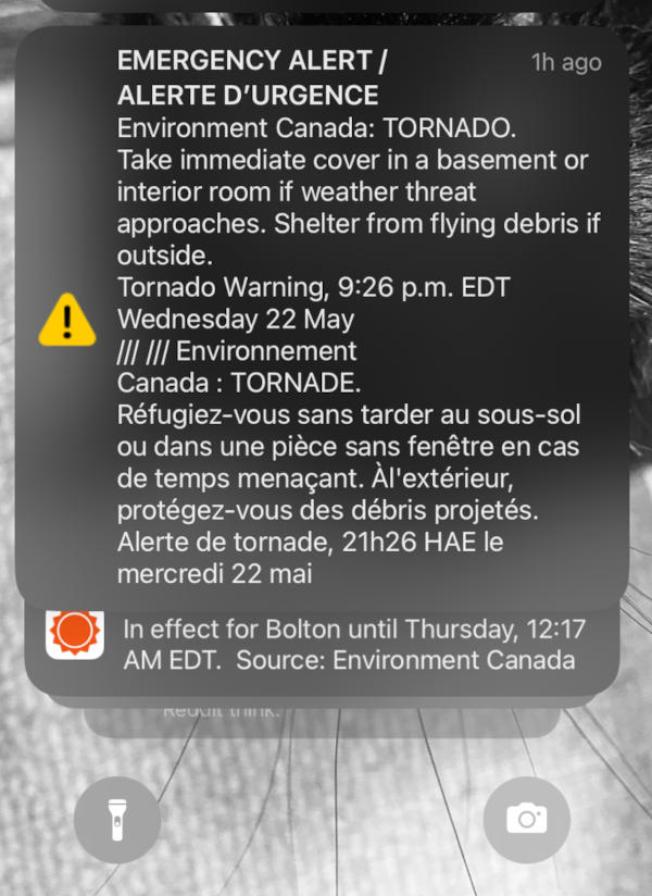 WTF! WTF!