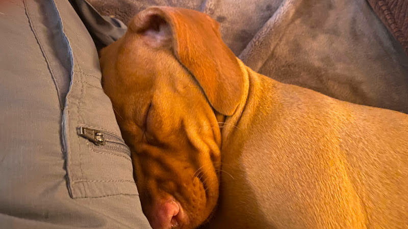 Finally asleep Finally asleep