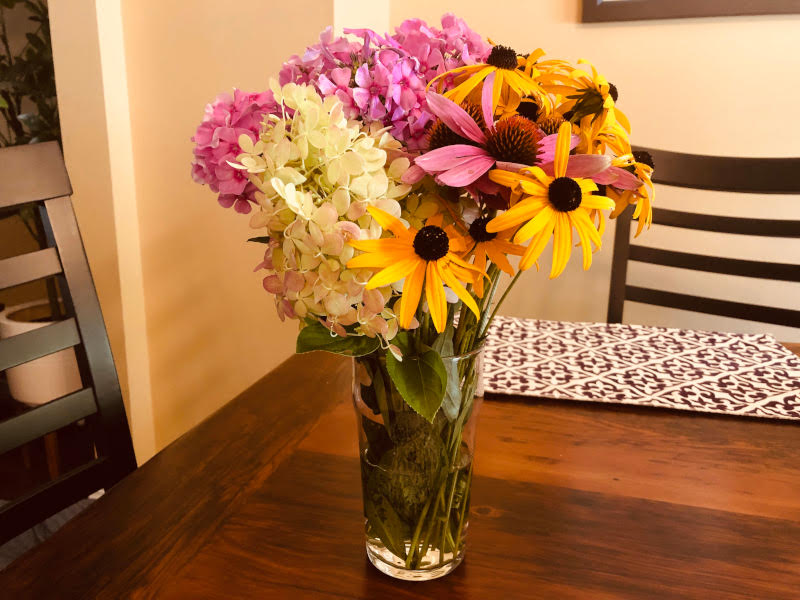 Stunning flowers from out backyard! Stunning flowers from out backyard!