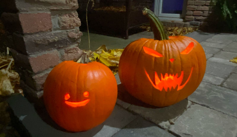 This year is pumpkins are the Dream and the Nightmare. This year is pumpkins are the Dream and the Nightmare.