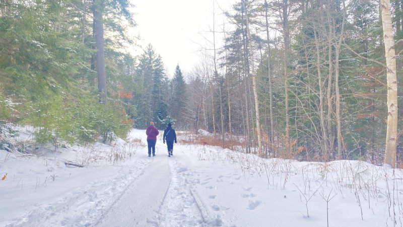 Winter trail walk Winter trail walk