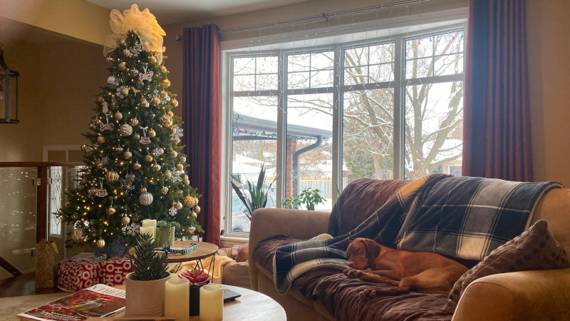 Nothing was stirring, not even a Vizsla. Nothing was stirring, not even a Vizsla.