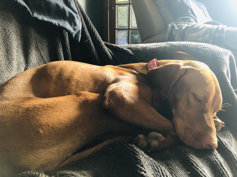 Nap time Nap time