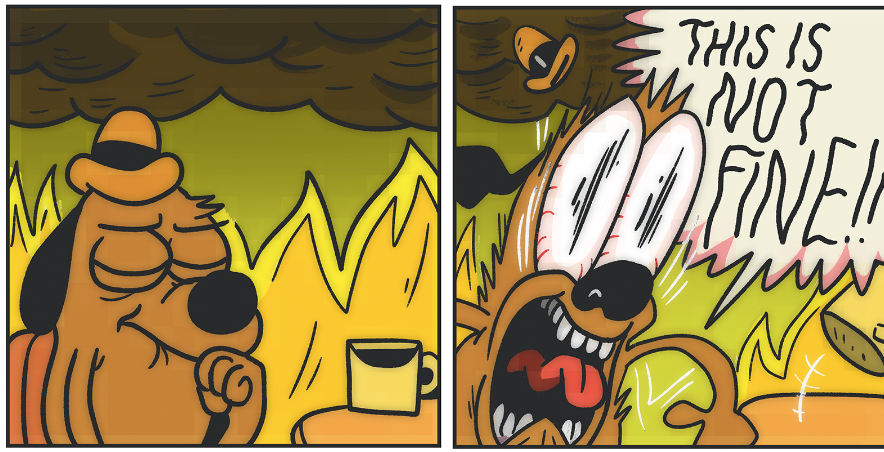 This is not fine. This is not fine.