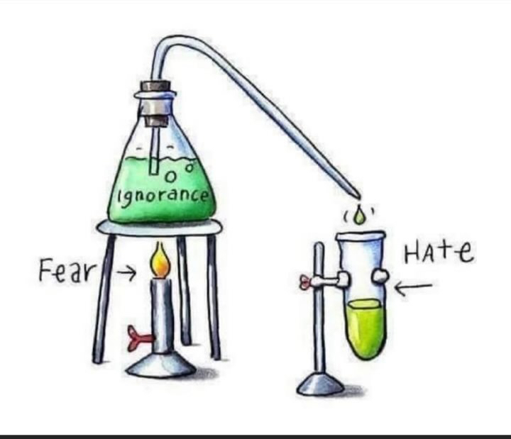 Ignorance. Ignorance.